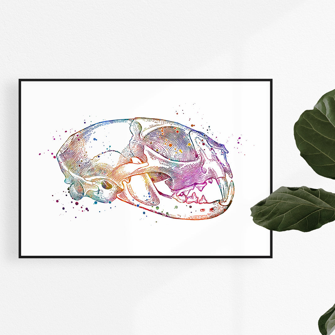 Cat Skull Anatomical Watercolor Art Print