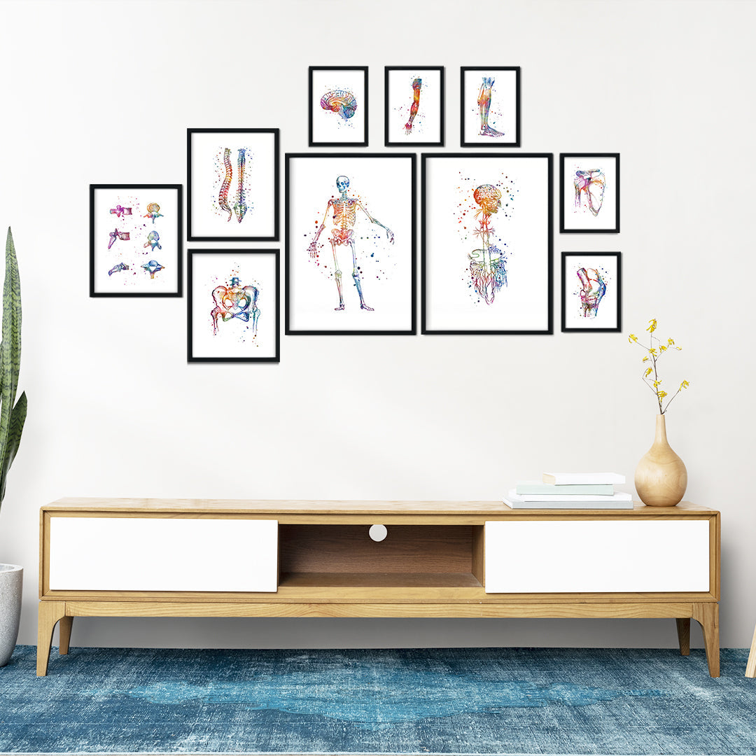 Chiropractic Wall Art – Set of 10 Anatomy Prints