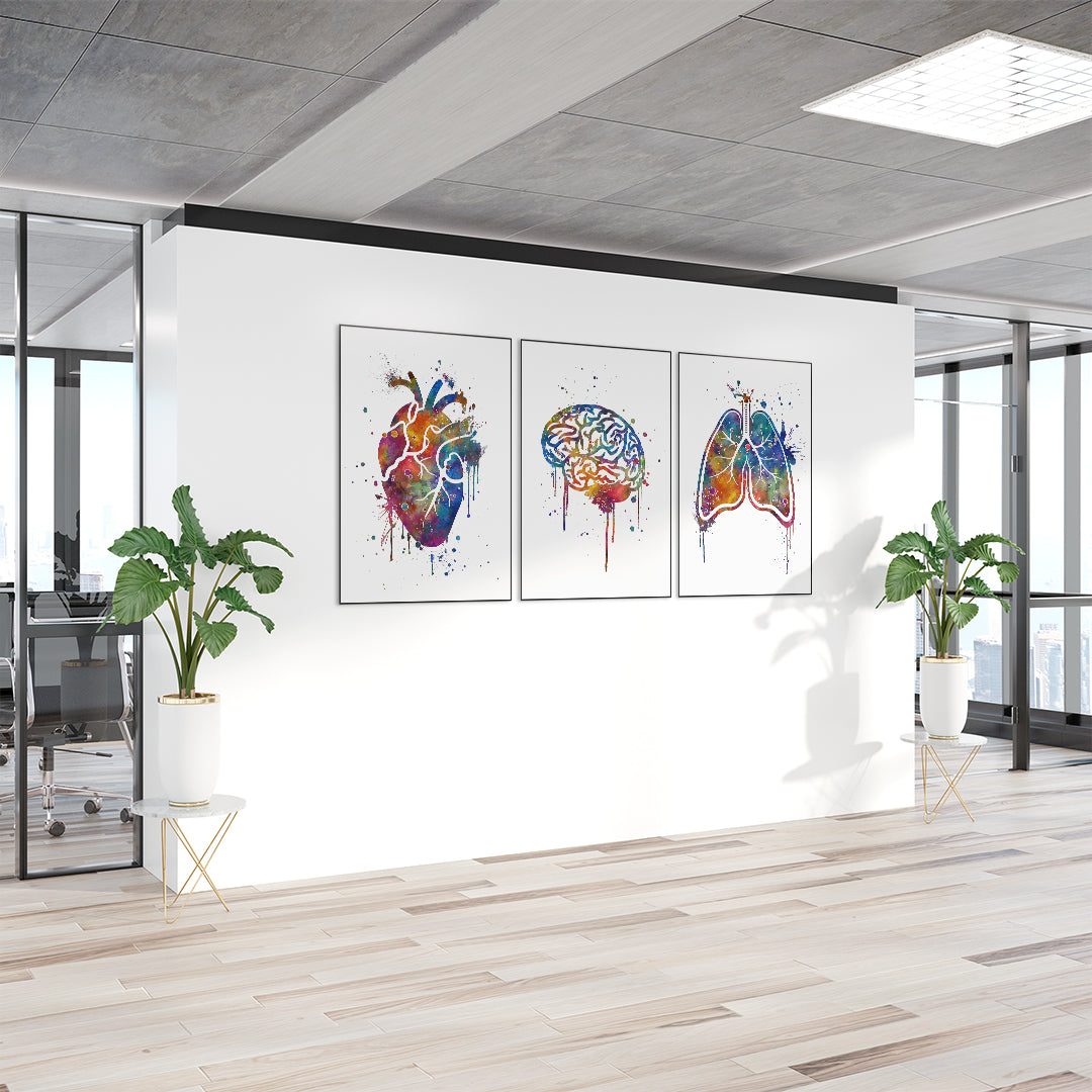 Set of 3 Art Prints Human Brain Heart and Lungs