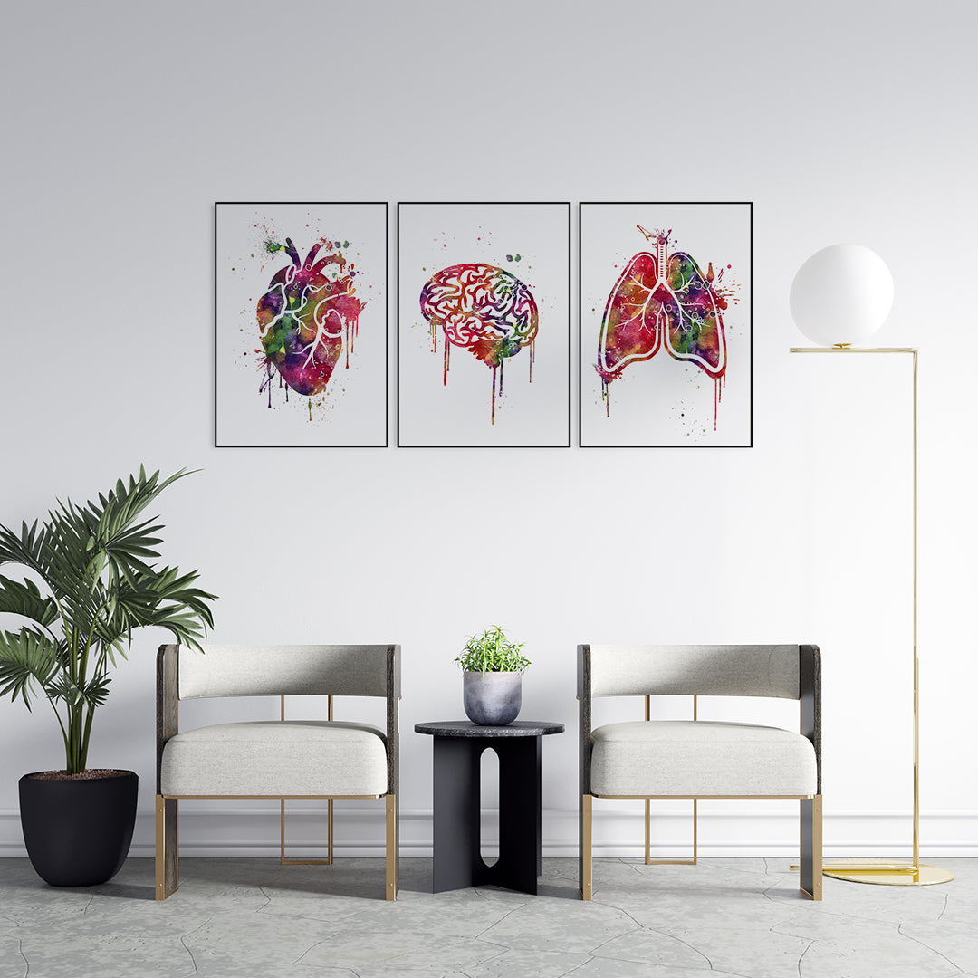 Anatomy Art Set of 3 Watercolor Prints
