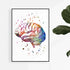 Colorful Brain Art Print – Neurology & Psychology Decor