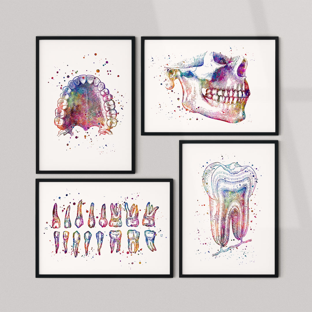 Dental Office Wall Art - Set of 4 Watercolor Prints