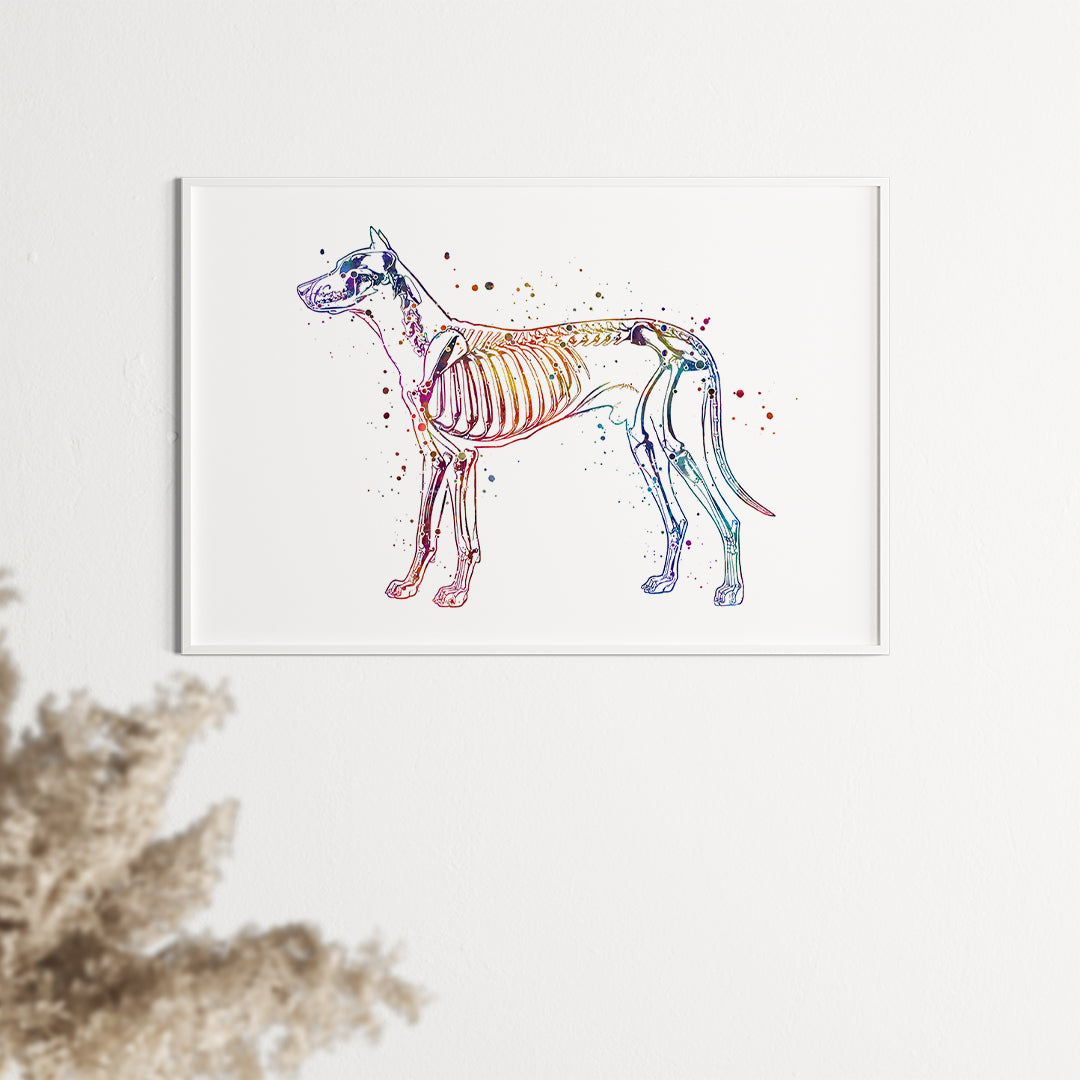 Dog Anatomy Watercolor Art Print