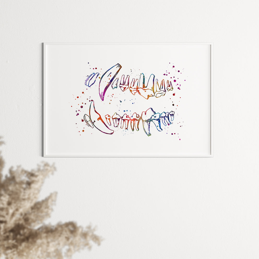 Dog Teeth Chart Watercolor Print Veterinary Dentistry Decor