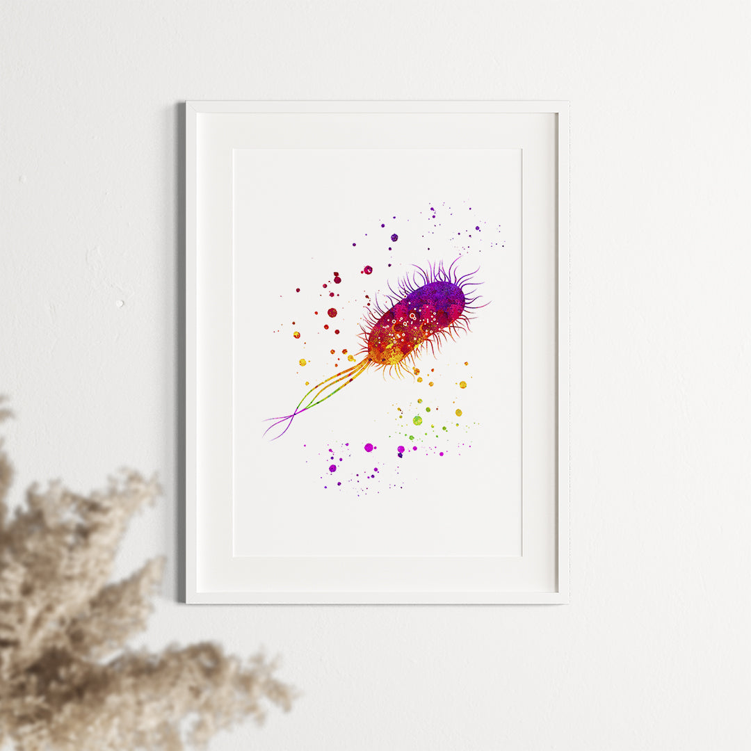 Escherichia coli Watercolor Art Print Microbiology Art