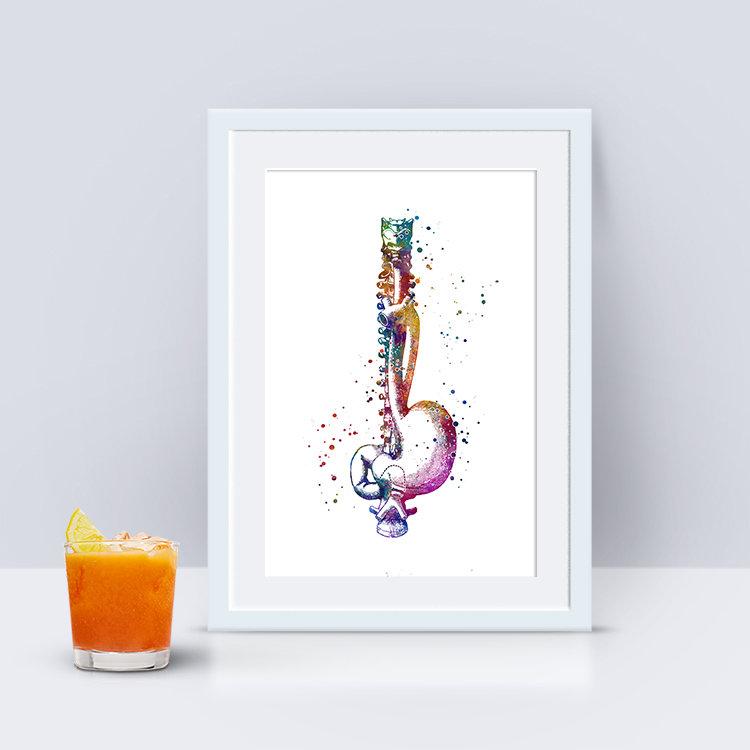 Esophagus and Stomach Anatomy Art Watercolor Print