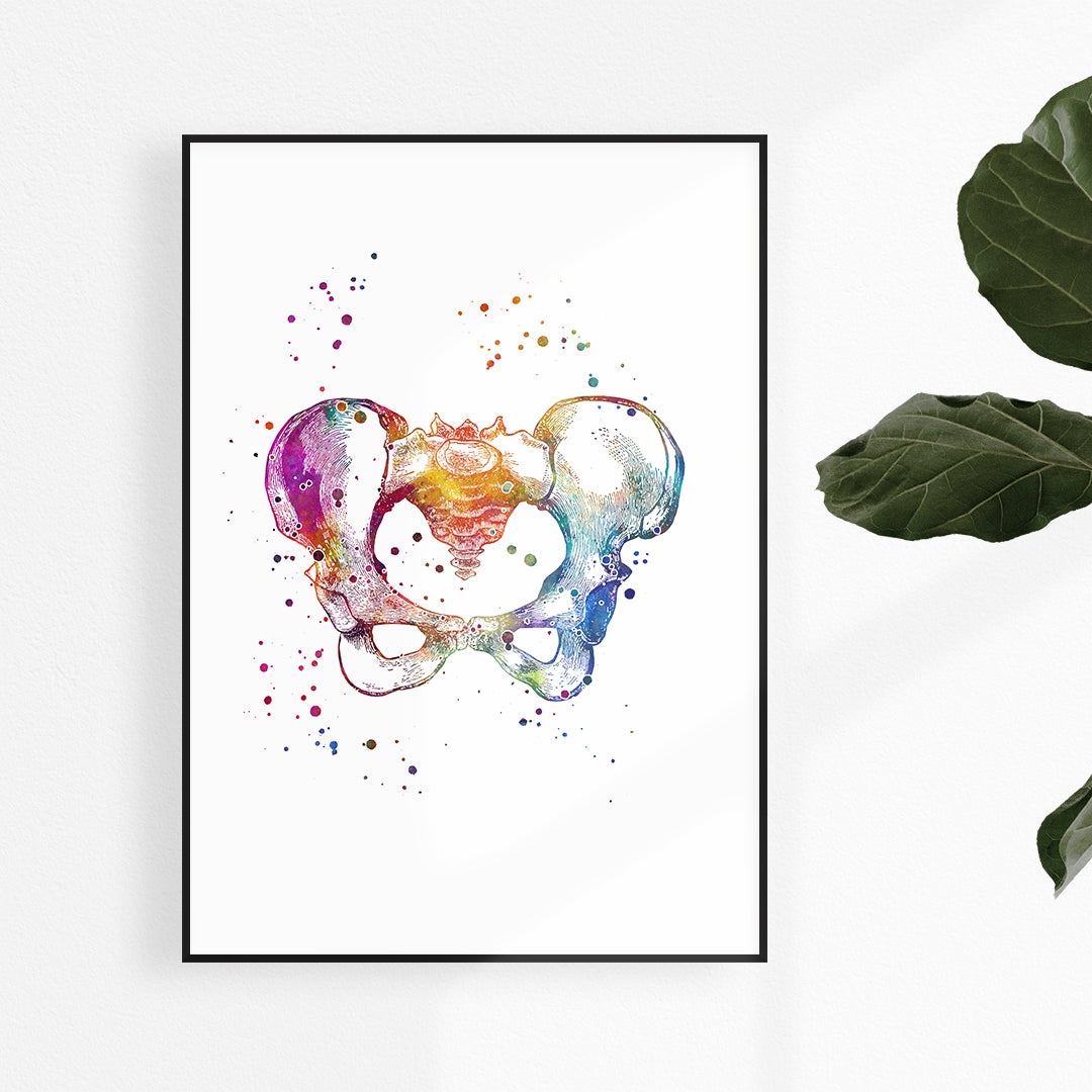 Female Pelvis Anatomy Art Watercolor Print