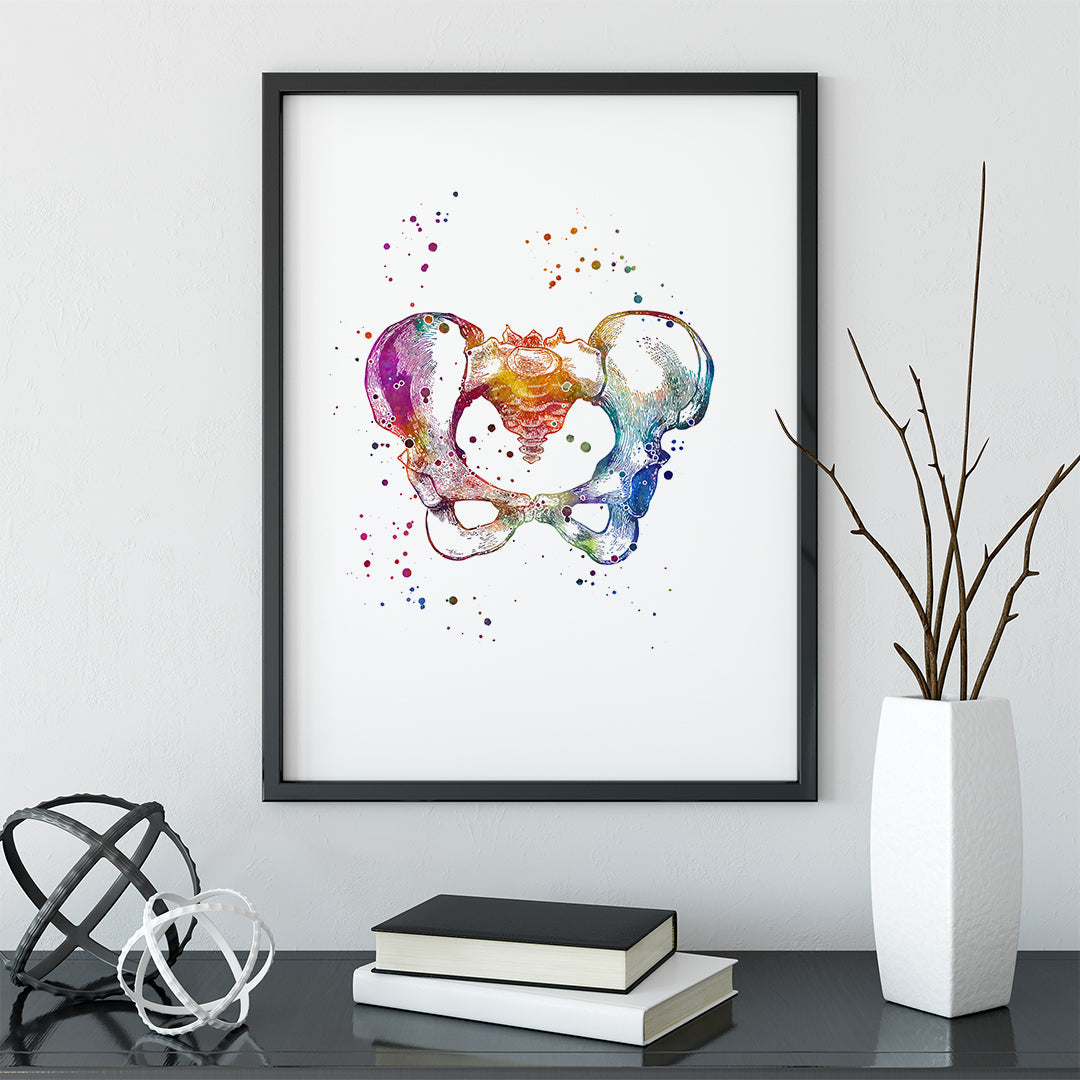 Female Pelvis Anatomy Art Watercolor Print