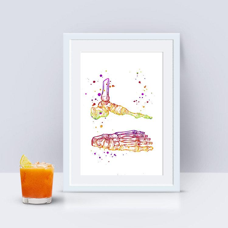 Watercolor Foot and Ankle Anatomy Art Print
