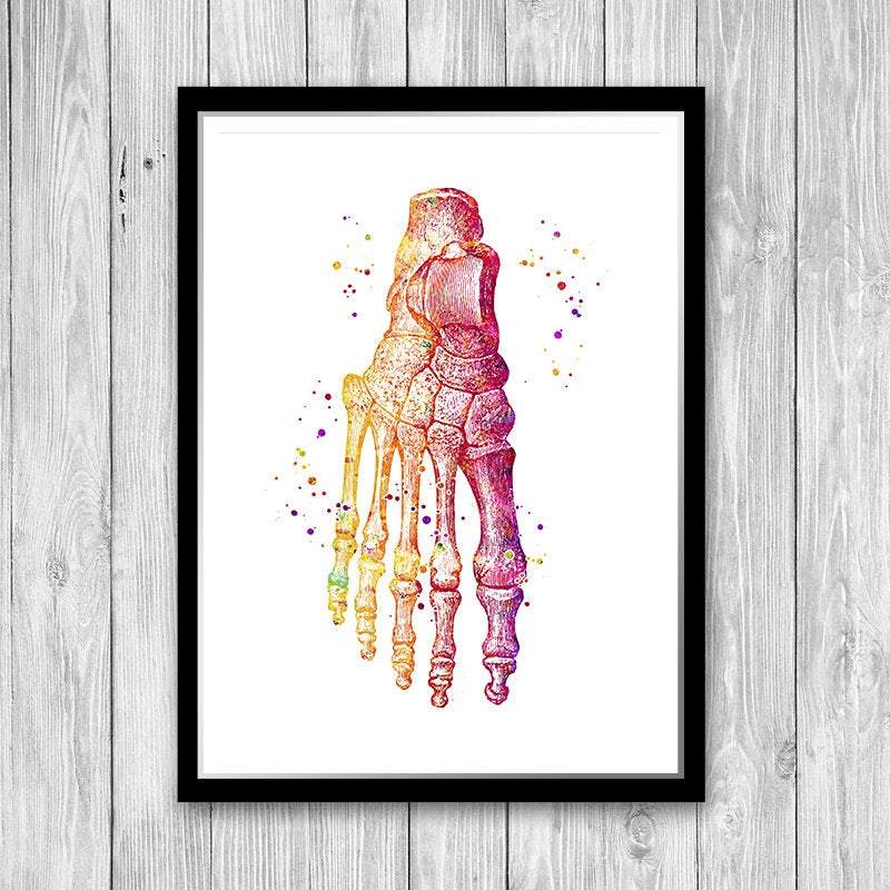 Foot bones Anatomy Art Watercolor Print