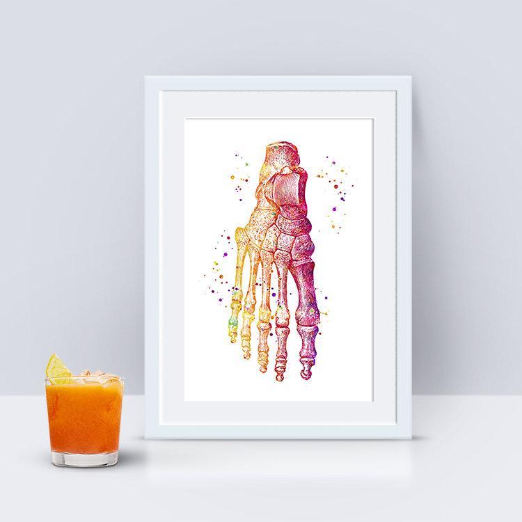 Foot bones Anatomy Art Watercolor Print