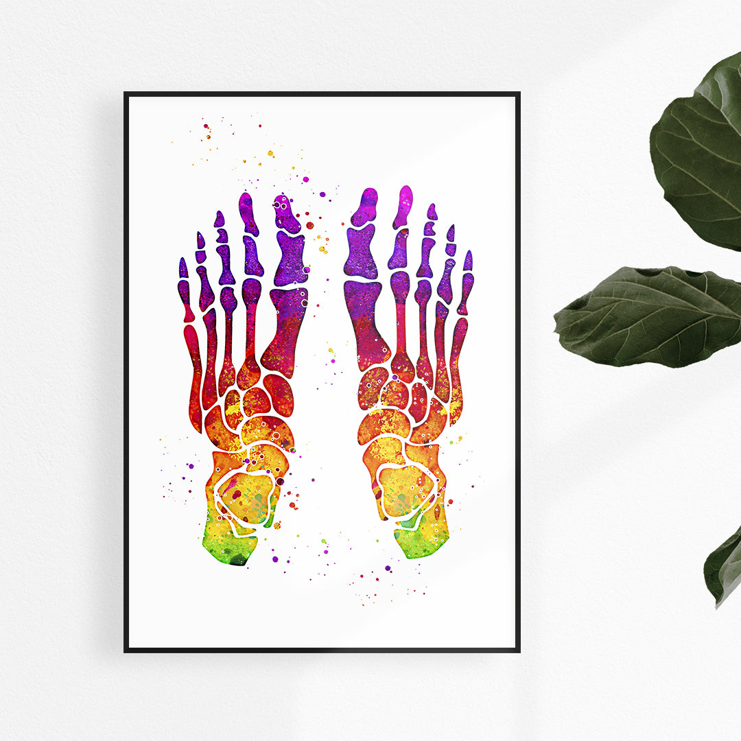 Colorful Watercolor Print - Human Foot Bones