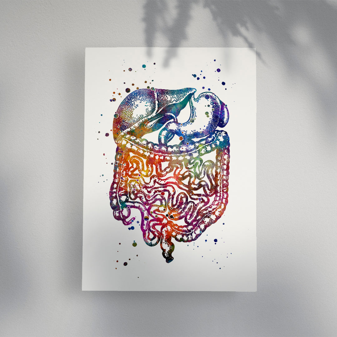 Digestive System Human Internal Organs Watercolor Print
