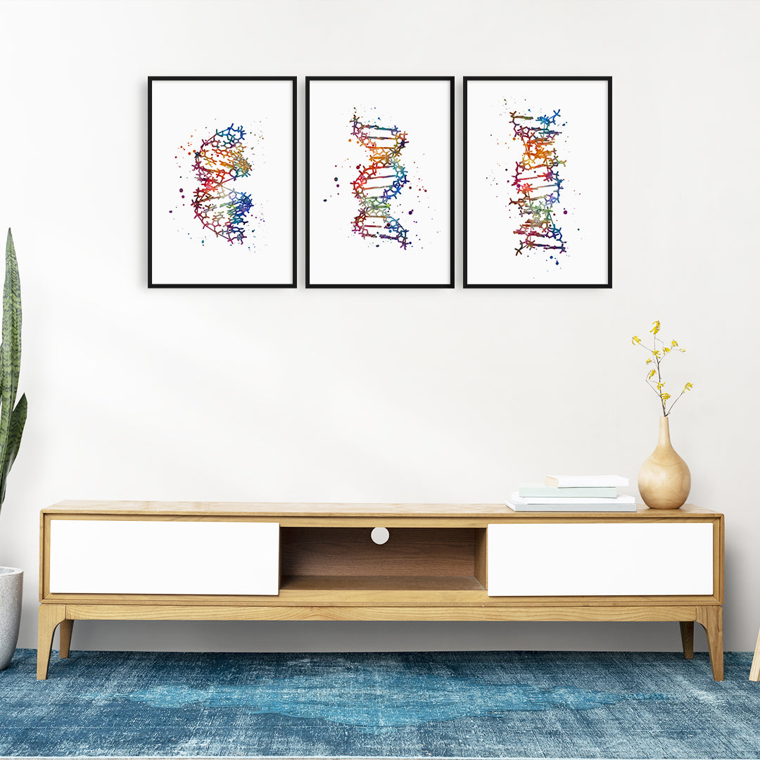 DNA Art Set of 3 Watercolor Prints - A B and Z Forms
