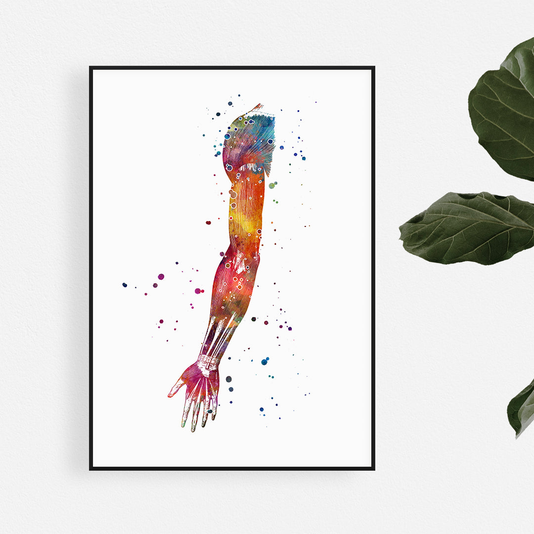 Human Hand Muscles Anatomy Art Watercolor Print