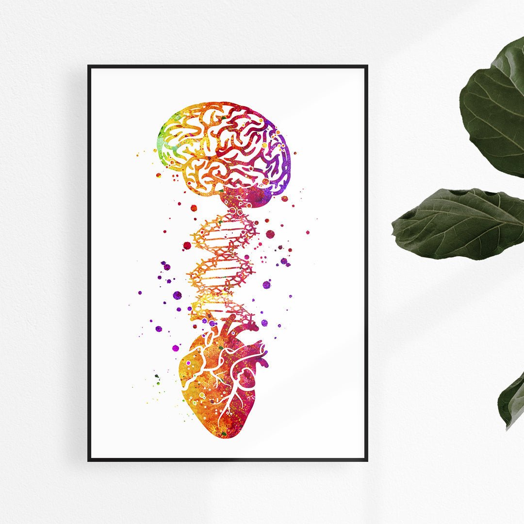 Medical Art Print - Brain DNA. Heart