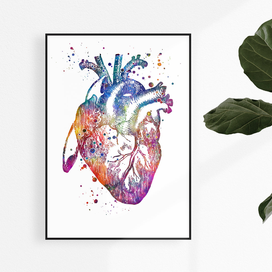Anatomical Heart Colorful Art Print