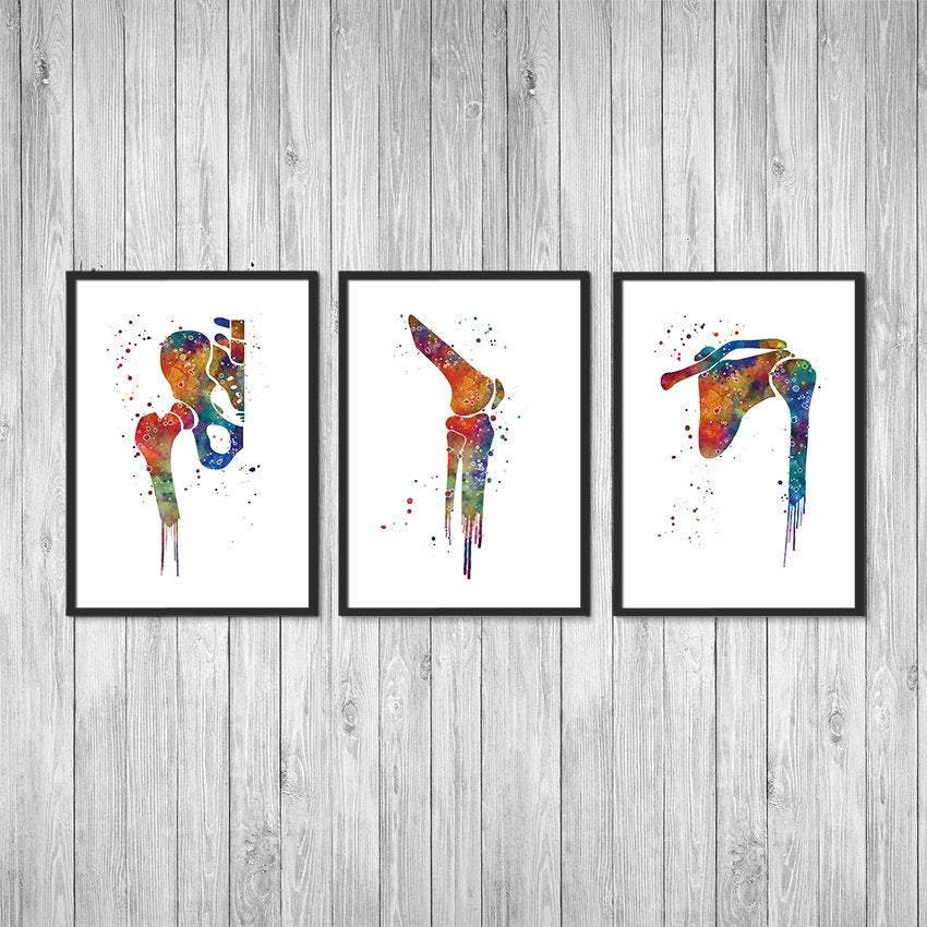 Hip Joint Knee and Shoulder Watercolor Prints Set of 3
