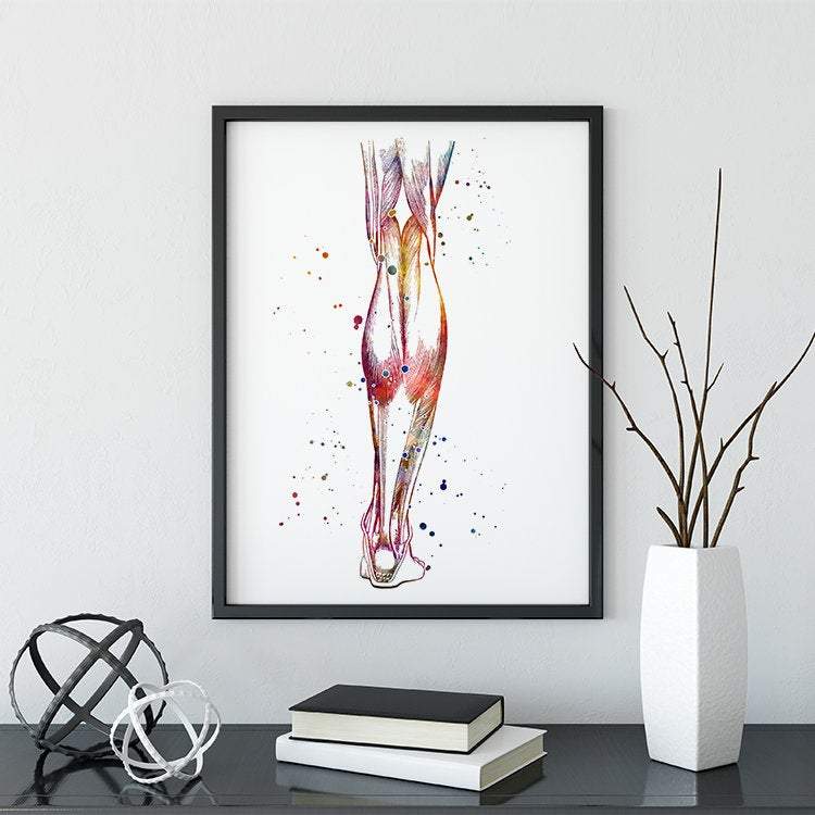 Muscles of the Lower Leg Anatomy Art Watercolor Print
