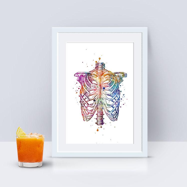 Human Chest Skeleton Rib Cage Anatomy Watercolor Art Print