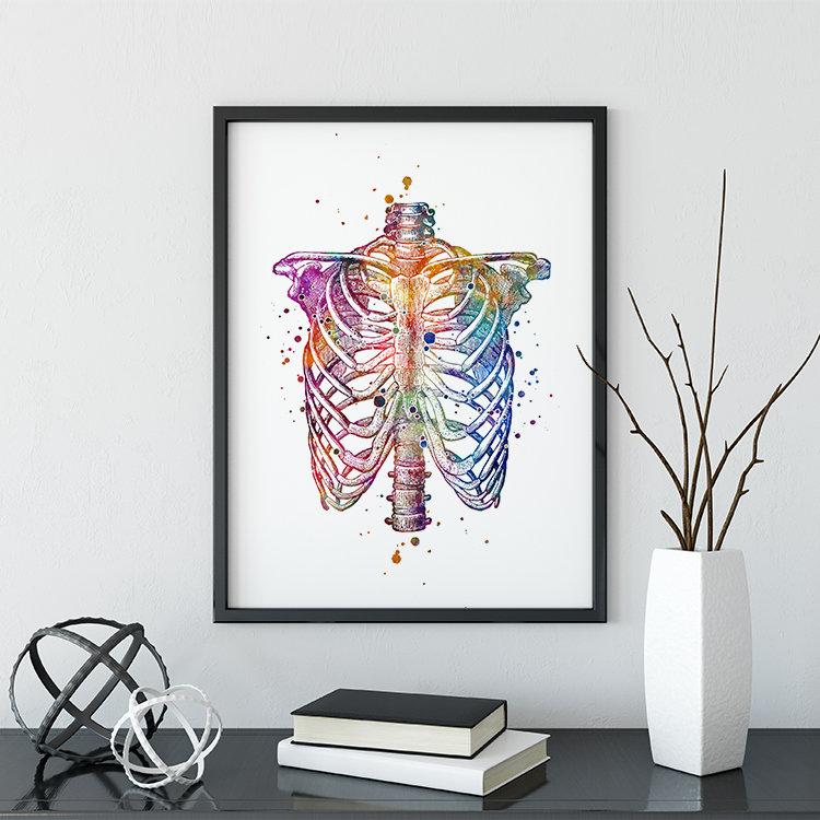 Human Chest Skeleton Rib Cage Anatomy Watercolor Art Print
