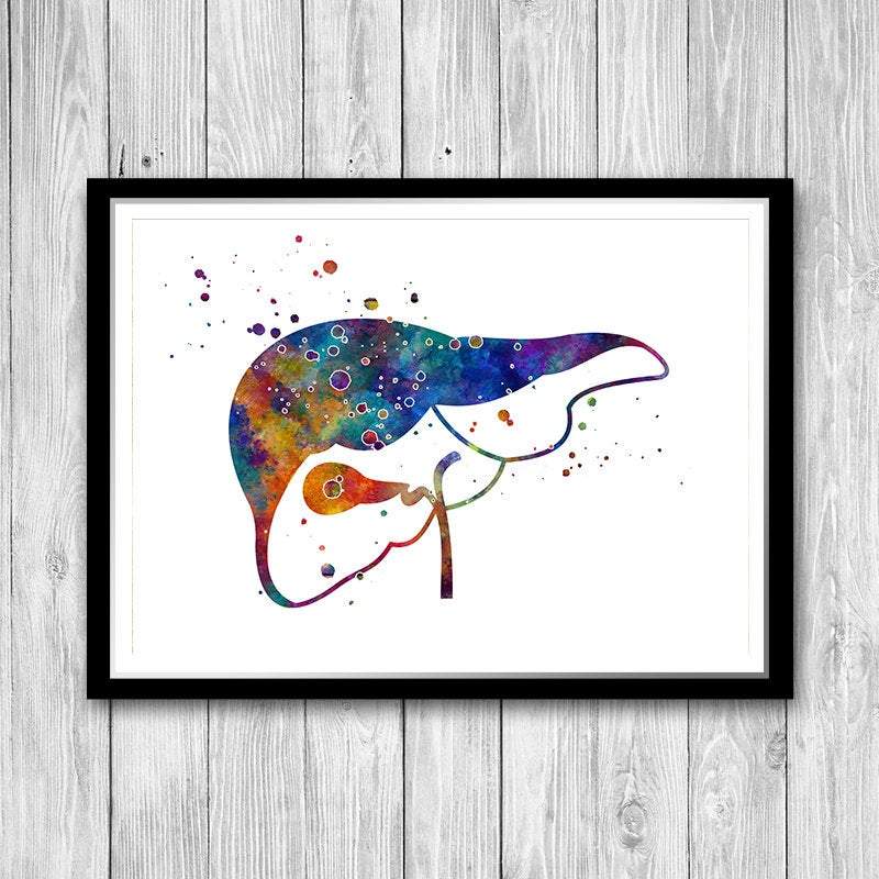 Human Liver and Gall Watercolor Anatomical Art Print