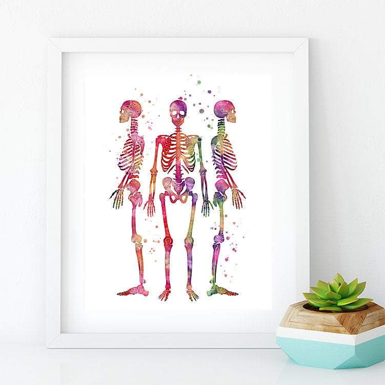 Human Skeletons Watercolor Print