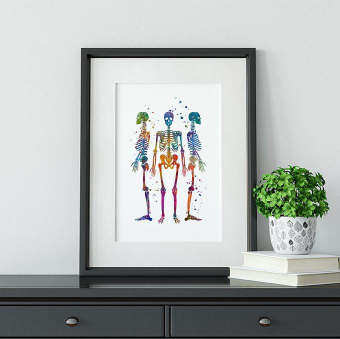 Human Skeletons Watercolor Art Print