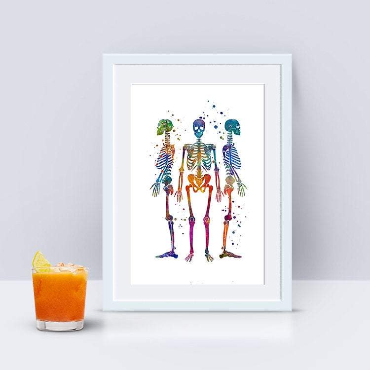 Human Skeletons Watercolor Art Print