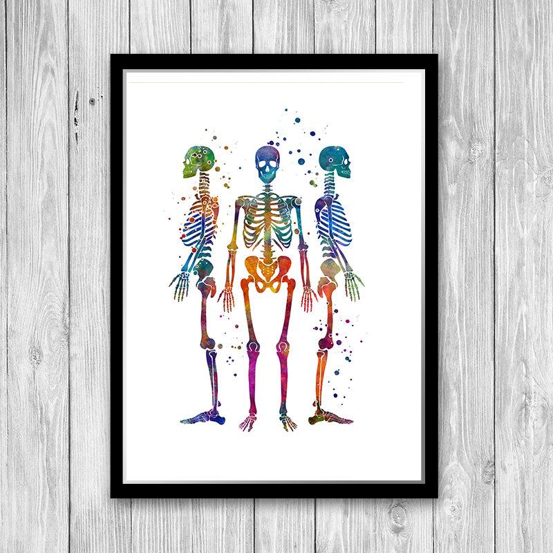 Human Skeletons Watercolor Art Print