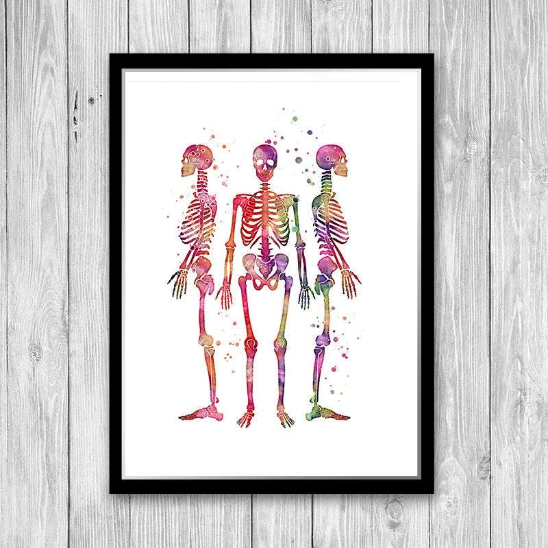 Human Skeletons Watercolor Print