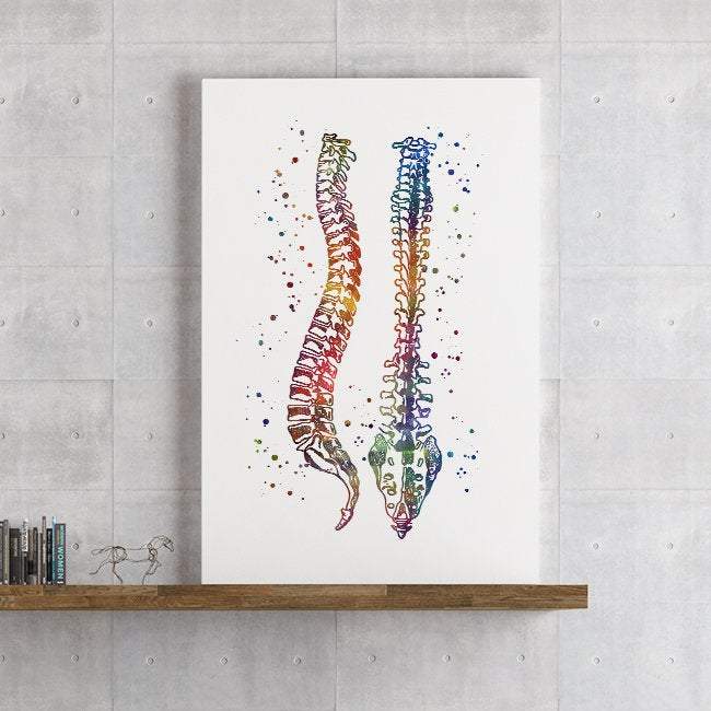 Human Spine Print Wall Art for Chiropractor Office