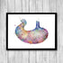 Human Stomach Anatomical Watercolor Art Print