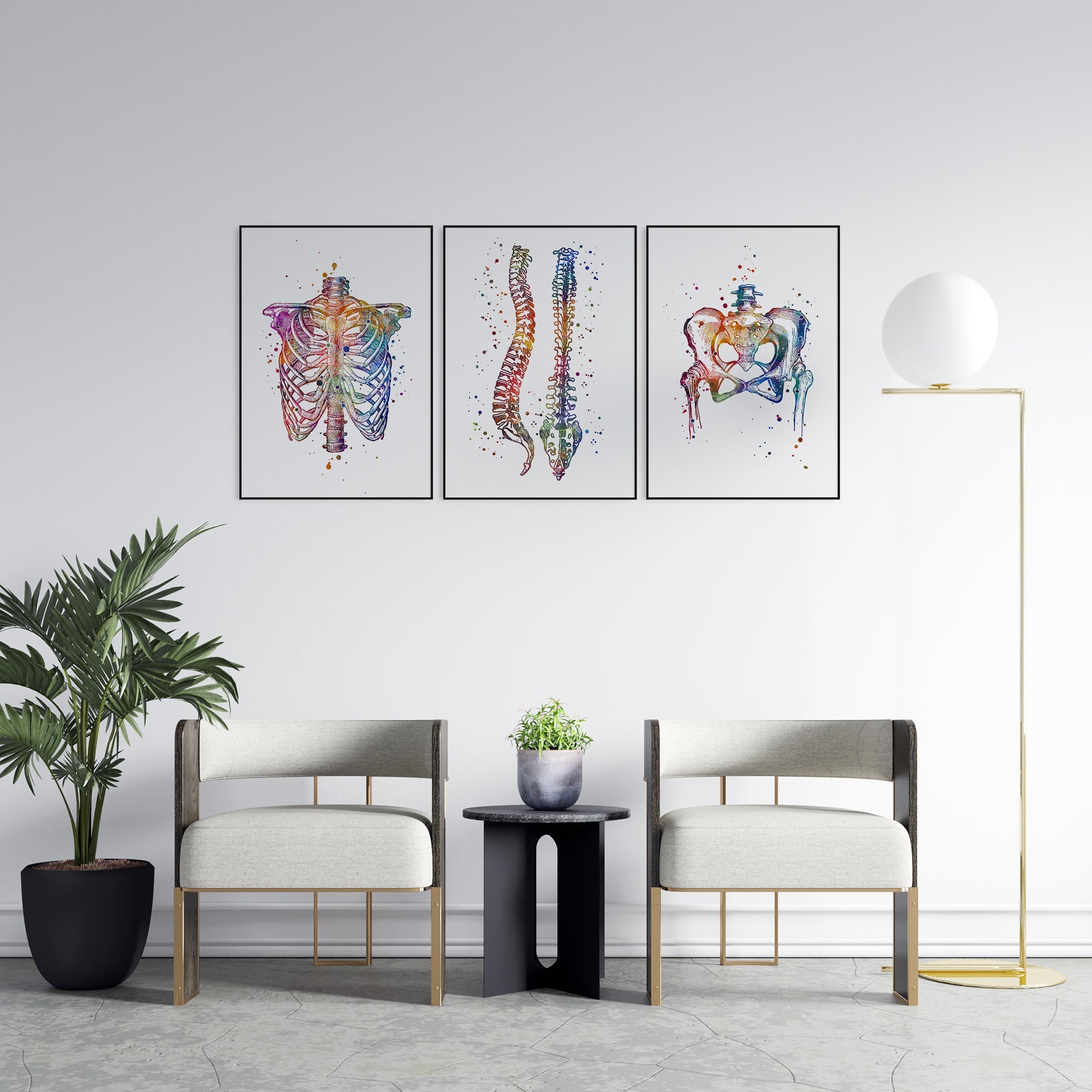 Anatomical Set of 3 Watercolor Prints Chiropractic Wall Art