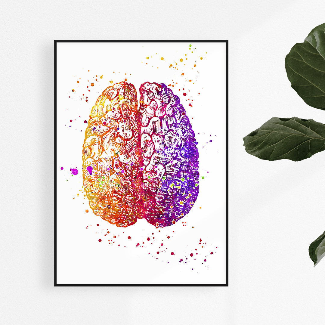 Human Brain Art Print School Psychologist Office Decor