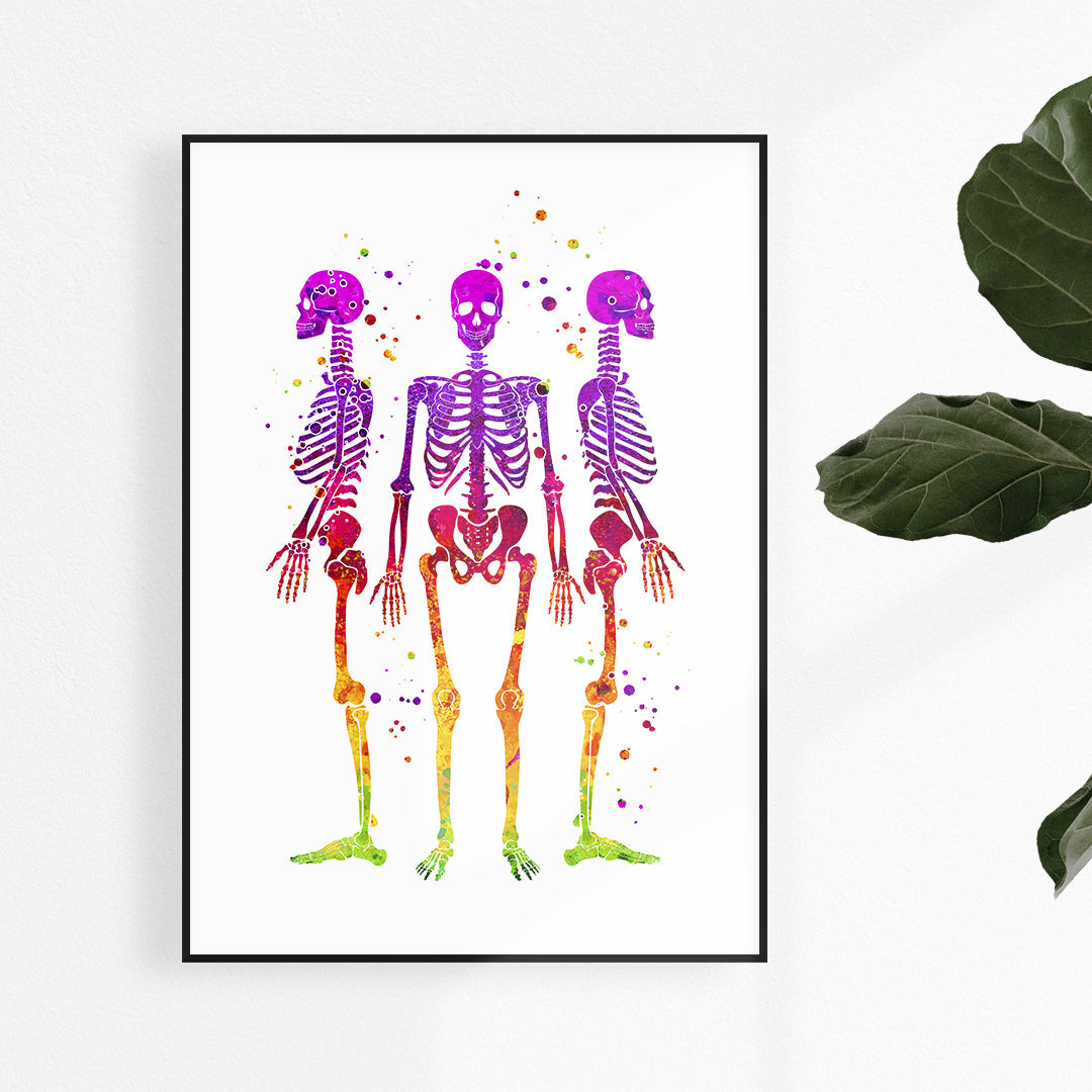 Skeletons Watercolor Art Print Human Anatomy Wall Art