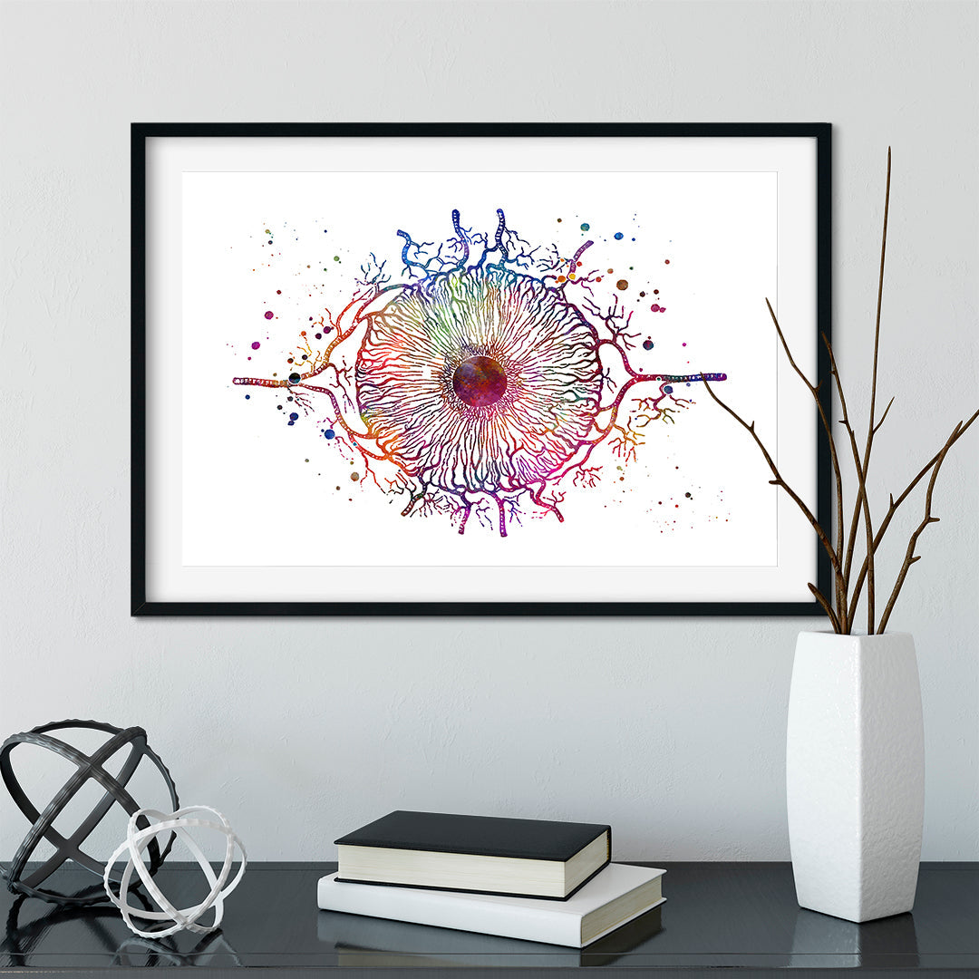 Iris Eye Anatomy Art Colorful Watercolor Print