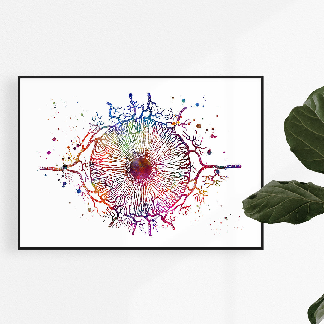 Iris Eye Anatomy Art Colorful Watercolor Print
