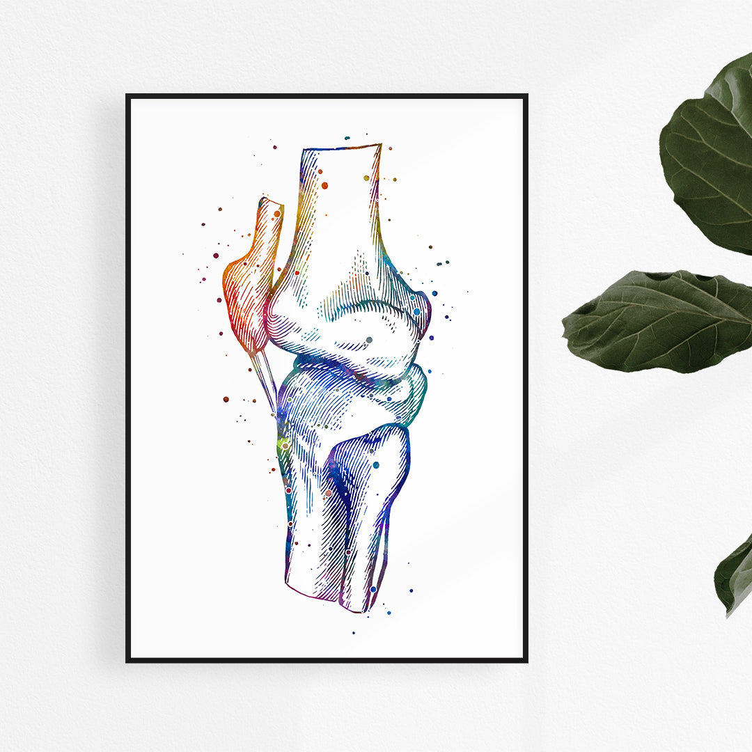 Human Knee Anatomy Art Watercolor Print