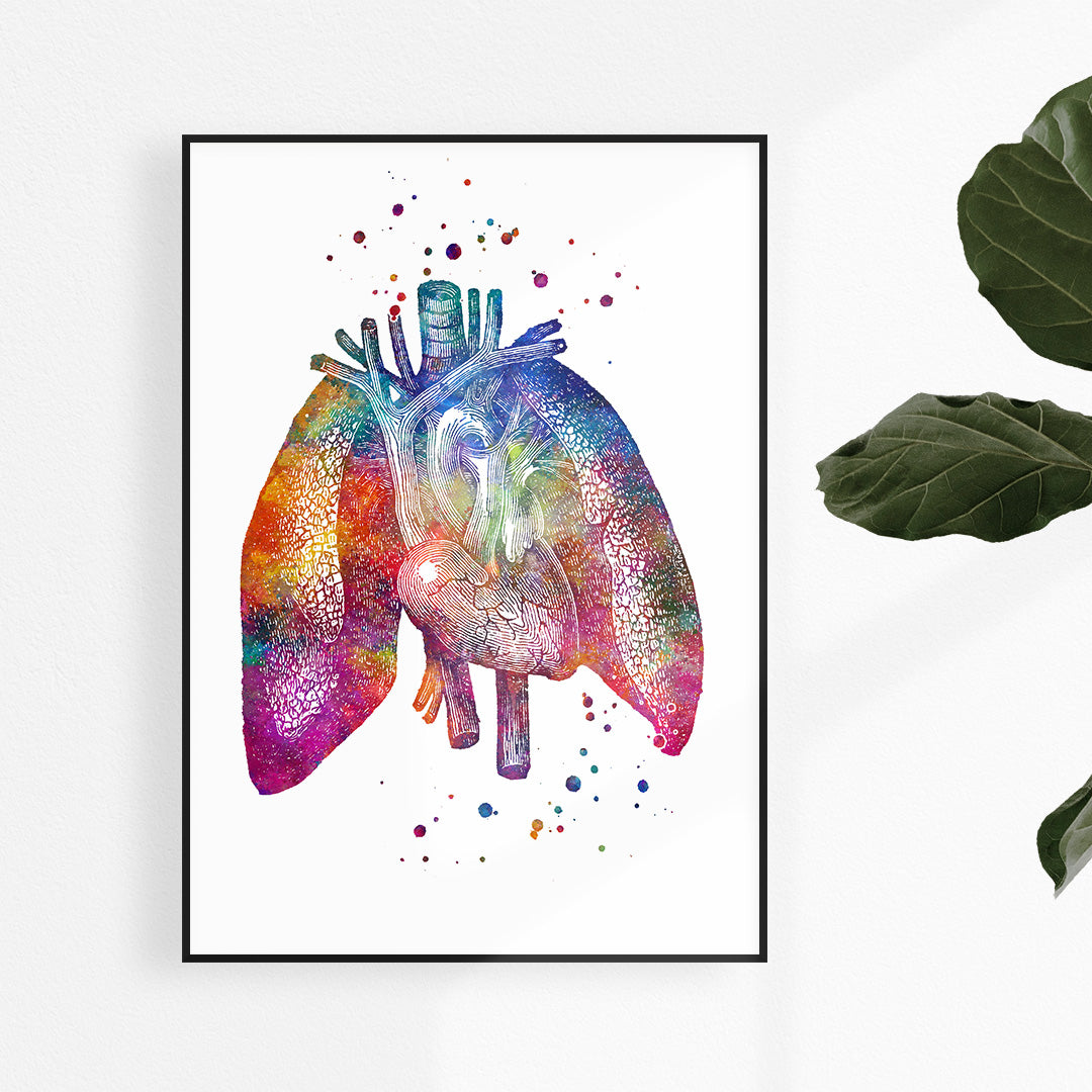 Human Lungs and Heart Anatomy Watercolor Print