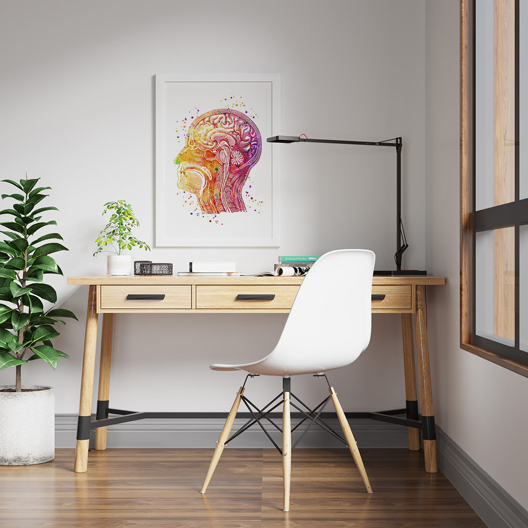 Human Head Longitudinal Section Watercolor Print