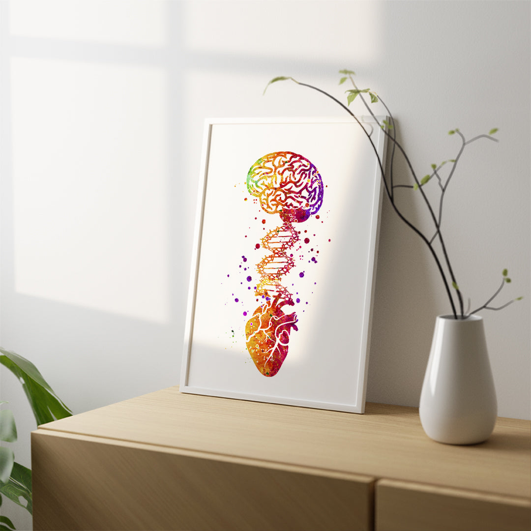 Medical Art Print - Brain DNA. Heart