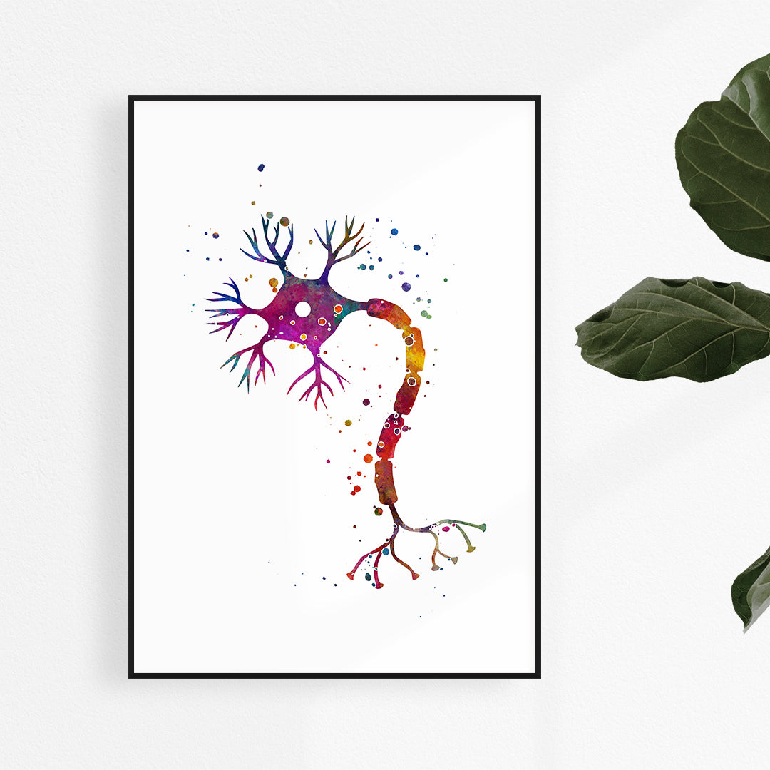Nerve Cell Colorful Watercolor Art Print