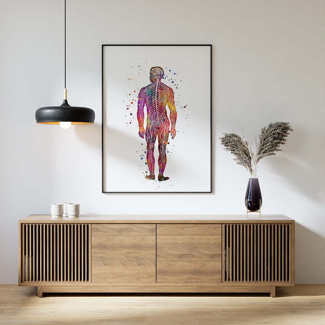 Human Body Nervous System Anatomy Art Watercolor Print