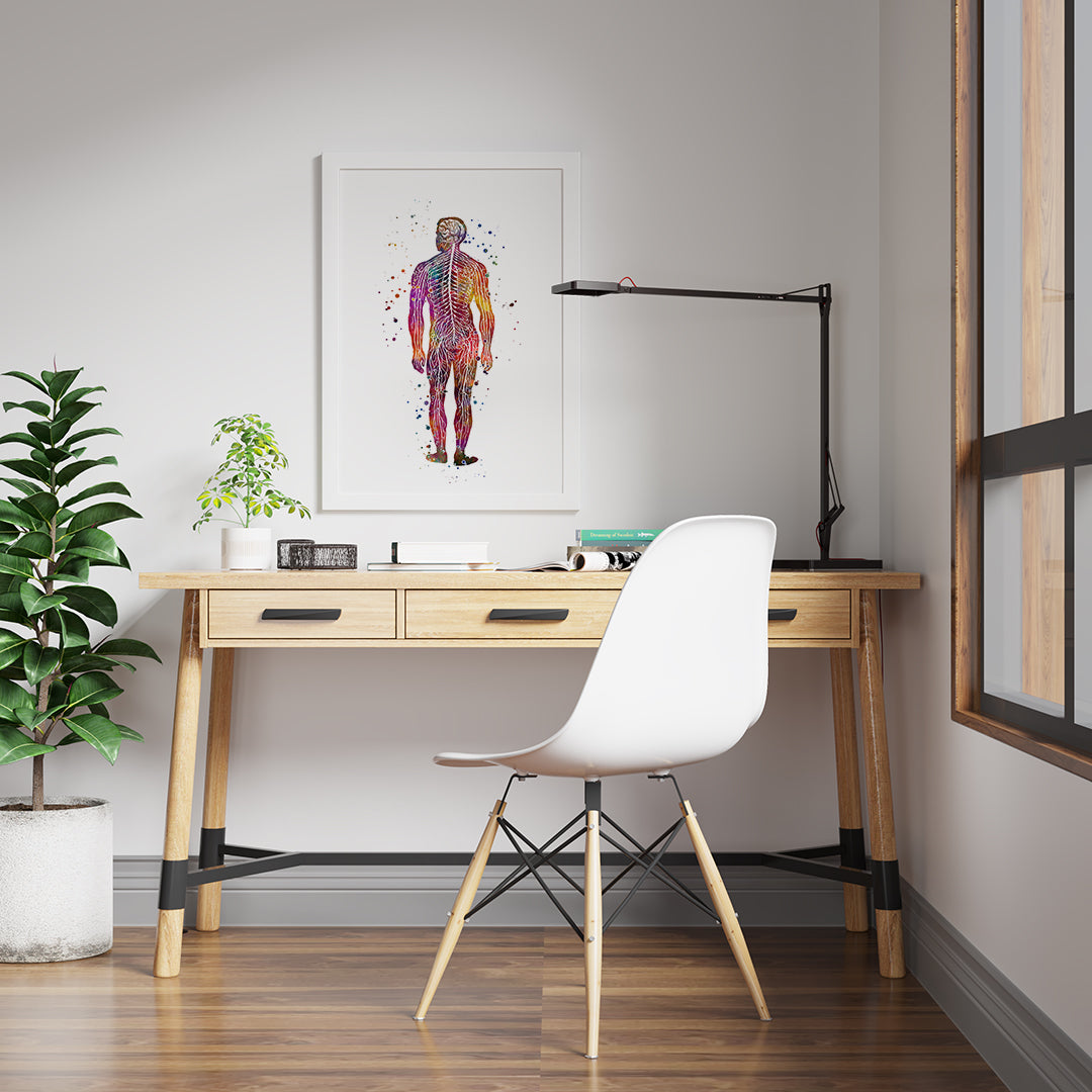 Human Body Nervous System Anatomy Art Watercolor Print