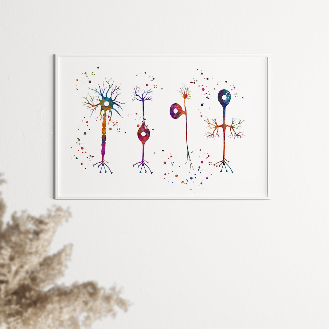 Types of Neurons Multicolored Watercolor Art Print
