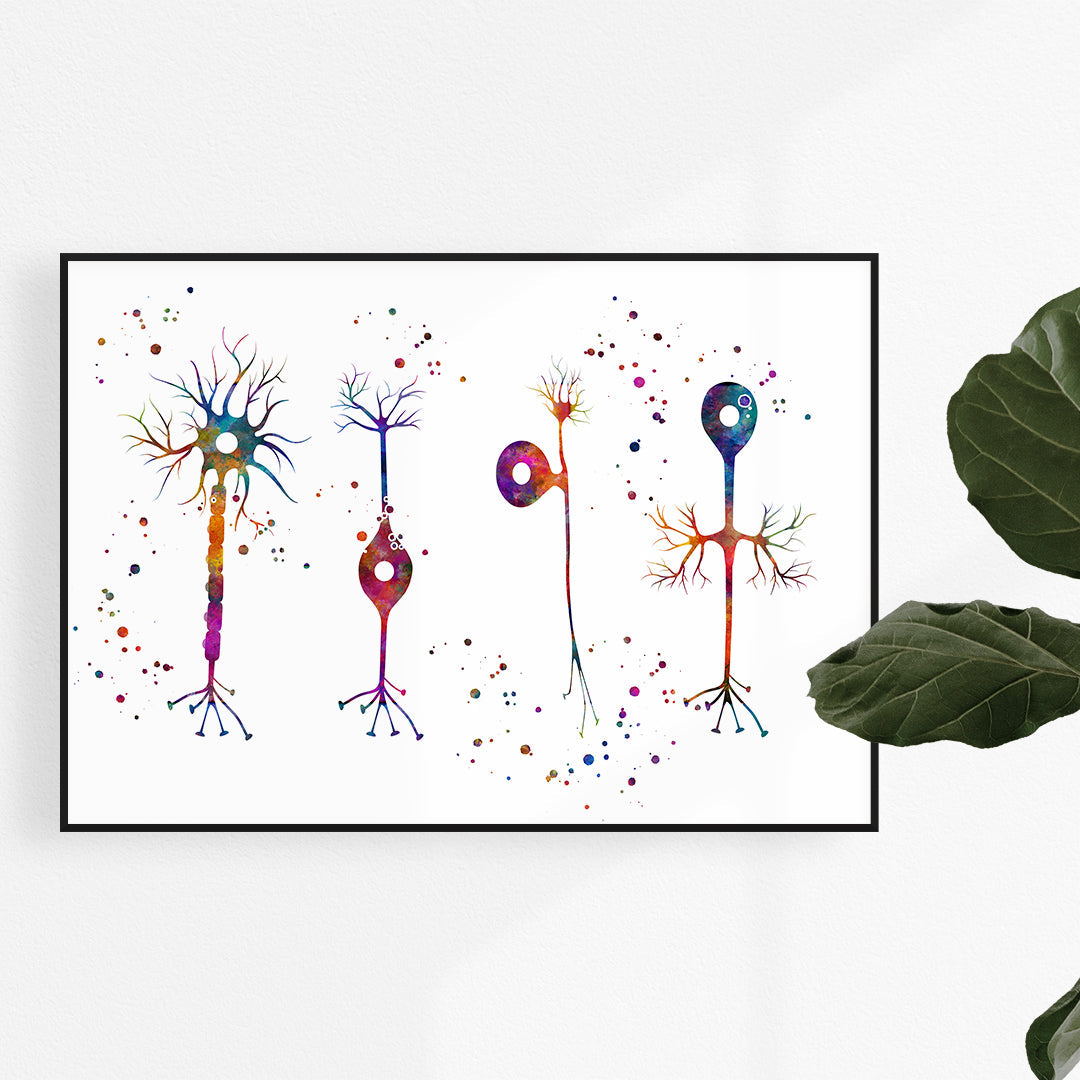 Types of Neurons Multicolored Watercolor Art Print