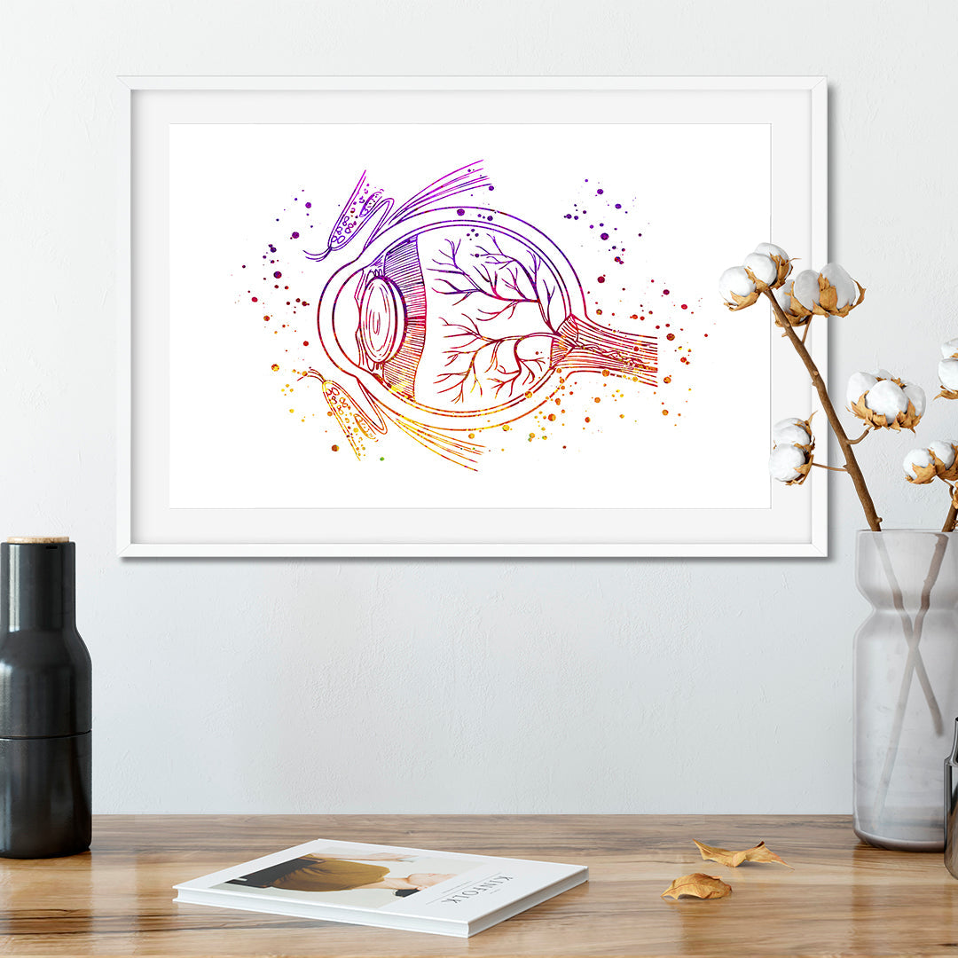 Human Eye Anatomy Watercolor Ophthalmology Art Print