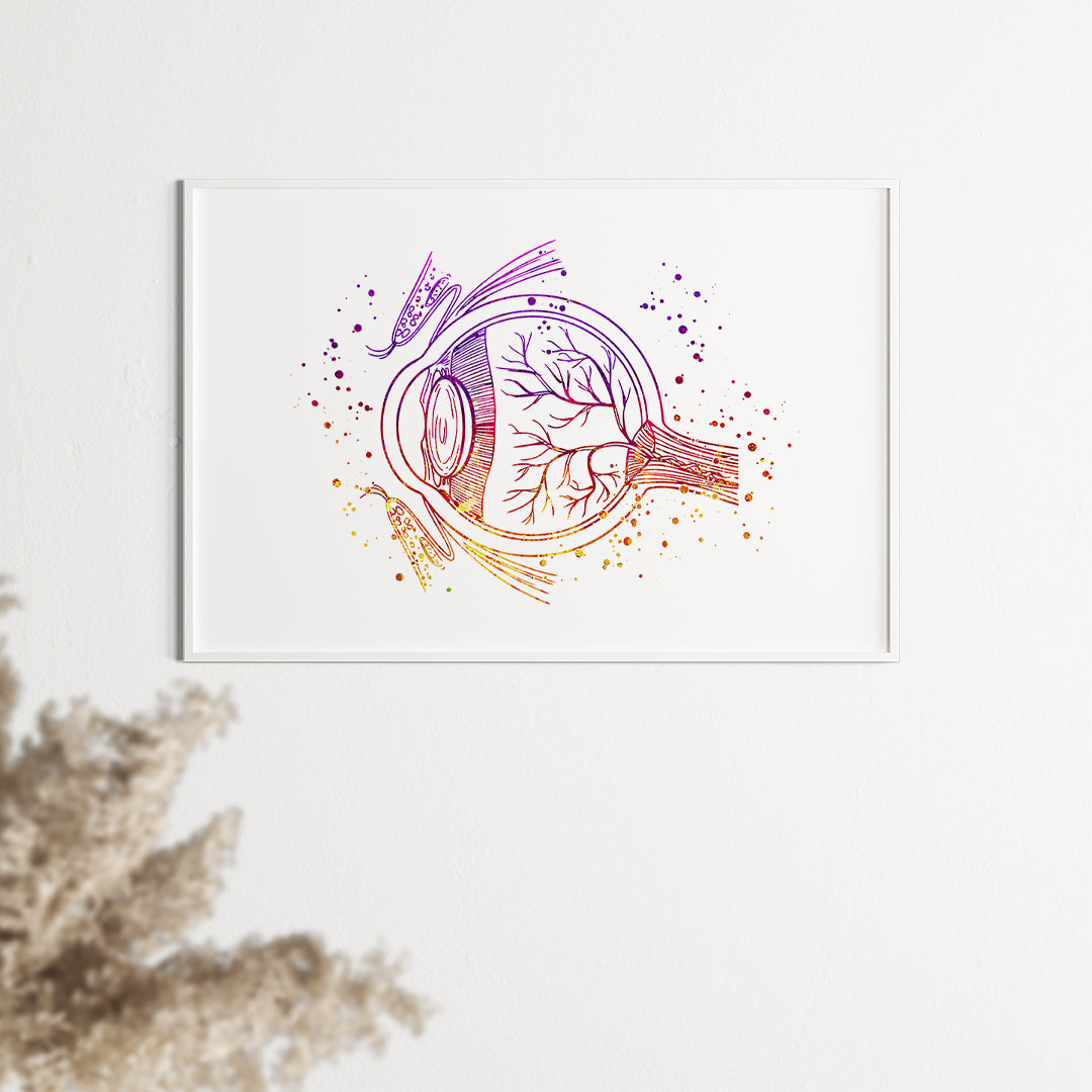Human Eye Anatomy Watercolor Ophthalmology Art Print