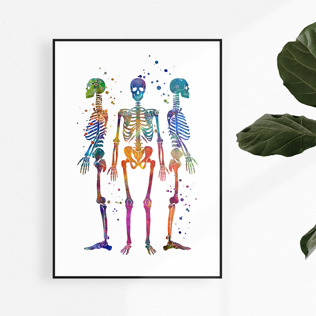Human Skeletons Watercolor Art Print